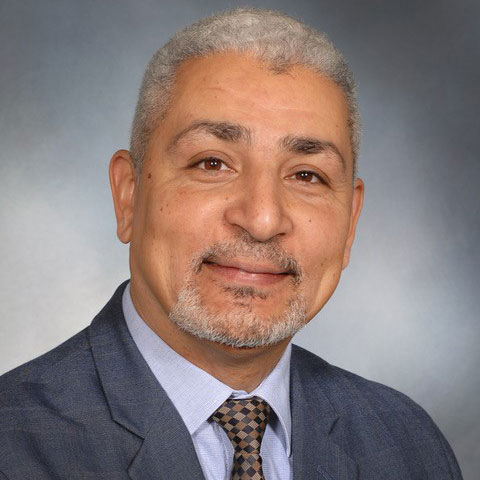 Ahmed ElQuosey
